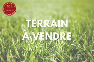 Terrain Aspach Michelbach 1254 m2