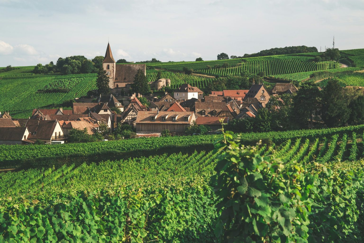 Village alsacien entouré de champs et de vignes